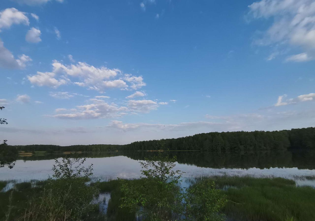 земля городской округ Ступино д Васьково Мещерино фото 3