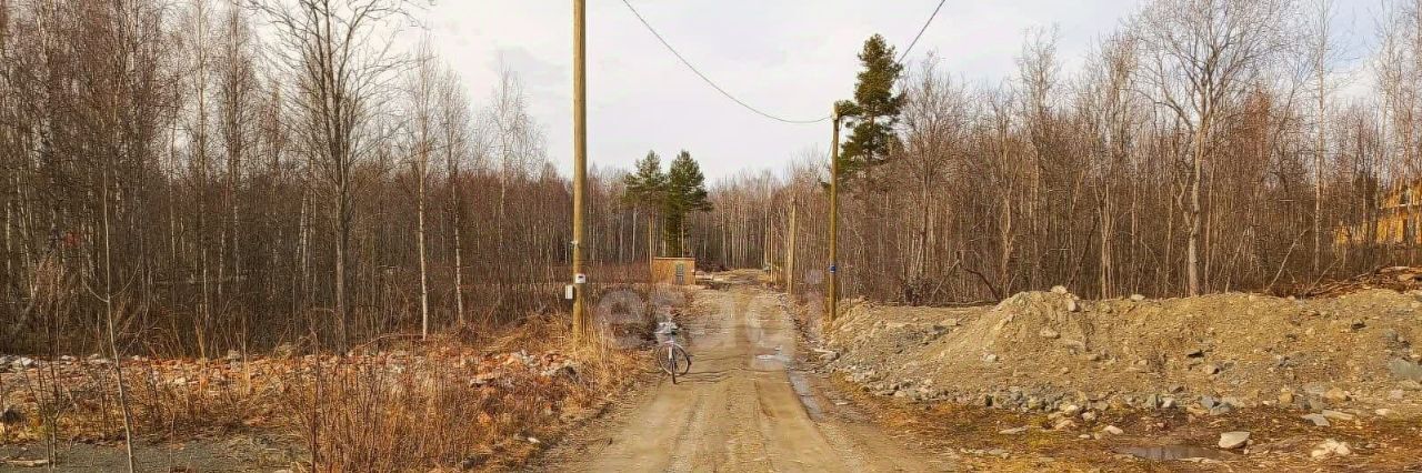 земля р-н Прионежский с Заозерье фото 4