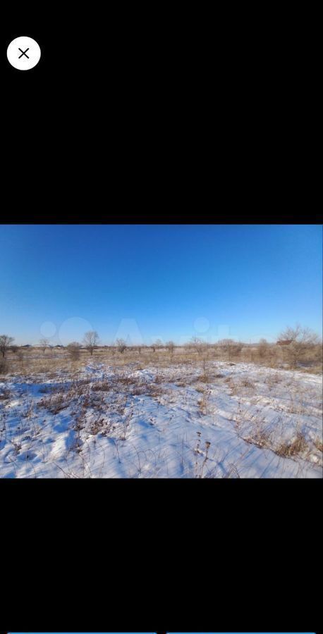 земля р-н Алтайский с Краснополье Белый Яр фото 1
