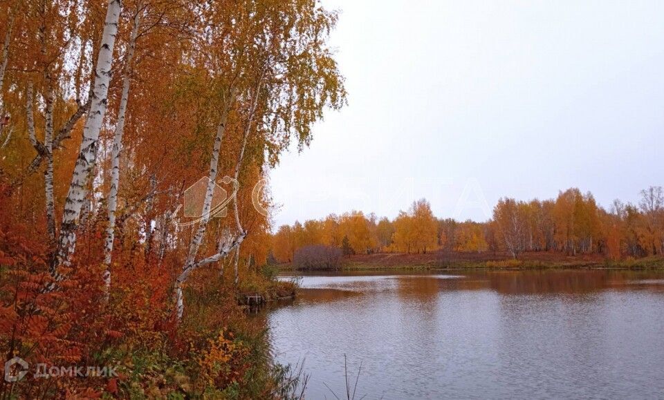 земля р-н Тюменский д Малиновка ул Брусничная фото 10