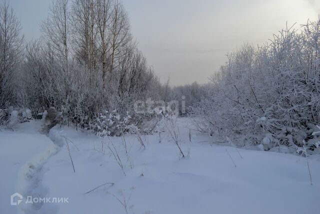 Прокопьевский городской округ фото