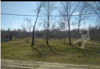 земля р-н Новосибирский садоводческое некоммерческое товарищество Ёлочка-2 фото 2