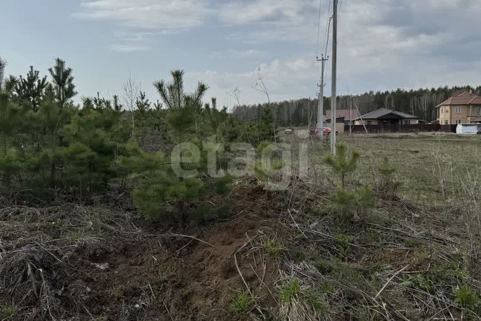 земля г Полевской с Курганово Полевской городской округ, Александровская улица, 46 фото 6