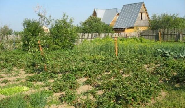 земля сельское поселение Урух, Респ Северная Осетия - Алания, Чикола фото