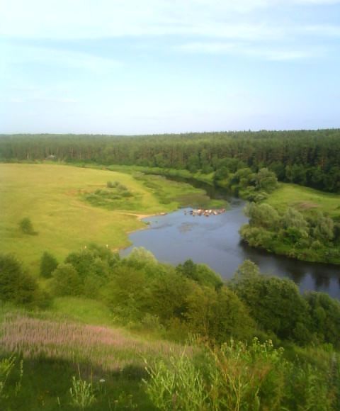 земля р-н Темкинский д Мамуши Калужская область, Юхнов фото 1