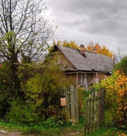 садово-огородническое некоммерческое товарищество Пустошкино, Цветочная ул фото