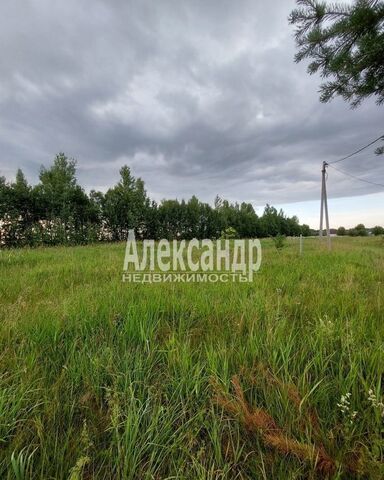 земля Глажевское сельское поселение, Кириши фото