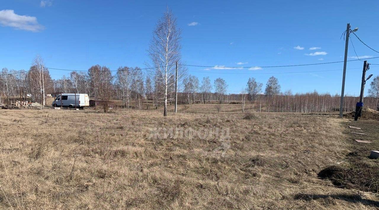 земля р-н Новосибирский с Верх-Тула ул. 1-й Квартал фото 2