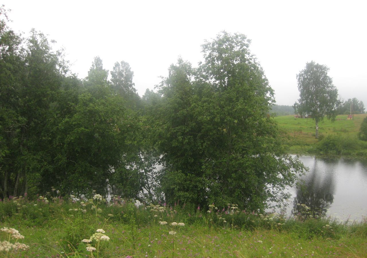 земля р-н Валдайский д Гвоздки Едровское сельское поселение, Тверская область, Озерный фото 1