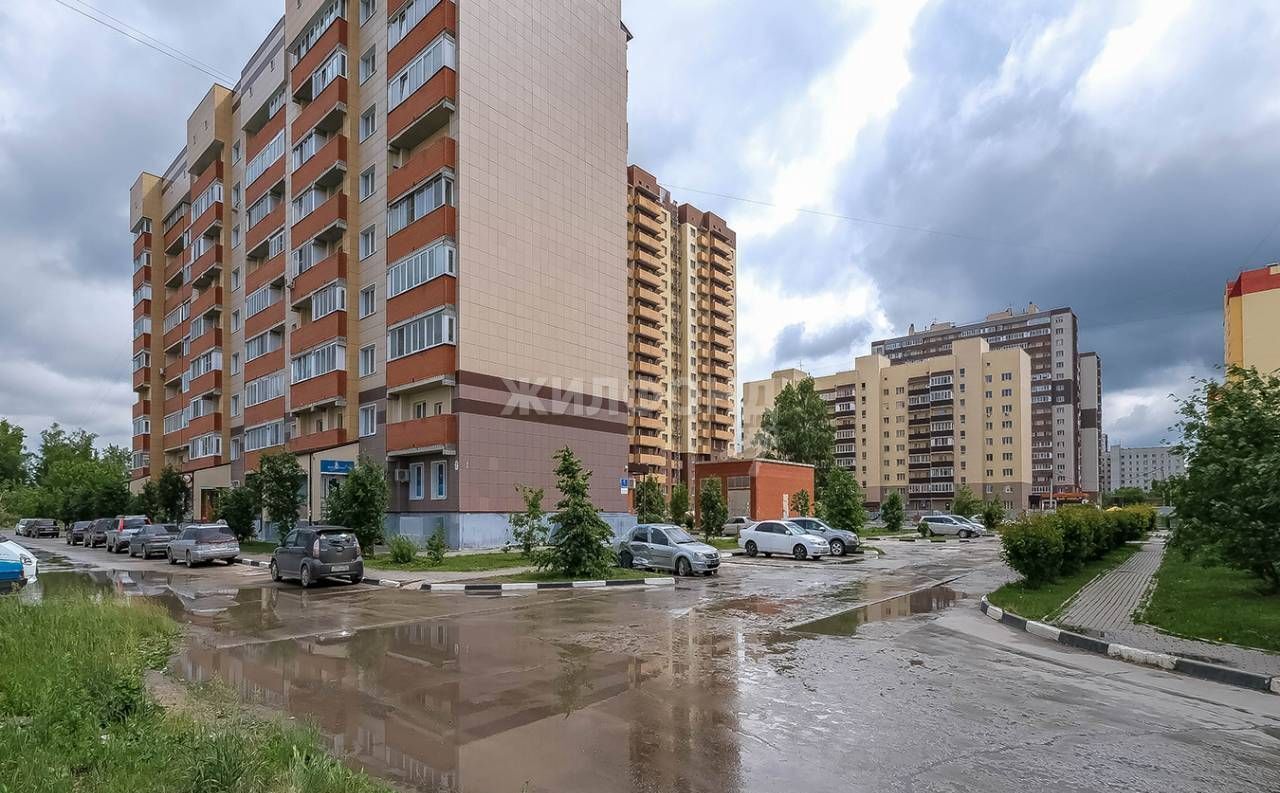 квартира г Новосибирск ул Виктора Уса 1 Площадь Маркса фото 22