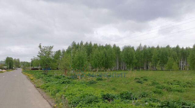 Чкаловск городской округ фото
