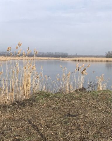 ул Почтовая Кореновское городское поселение фото