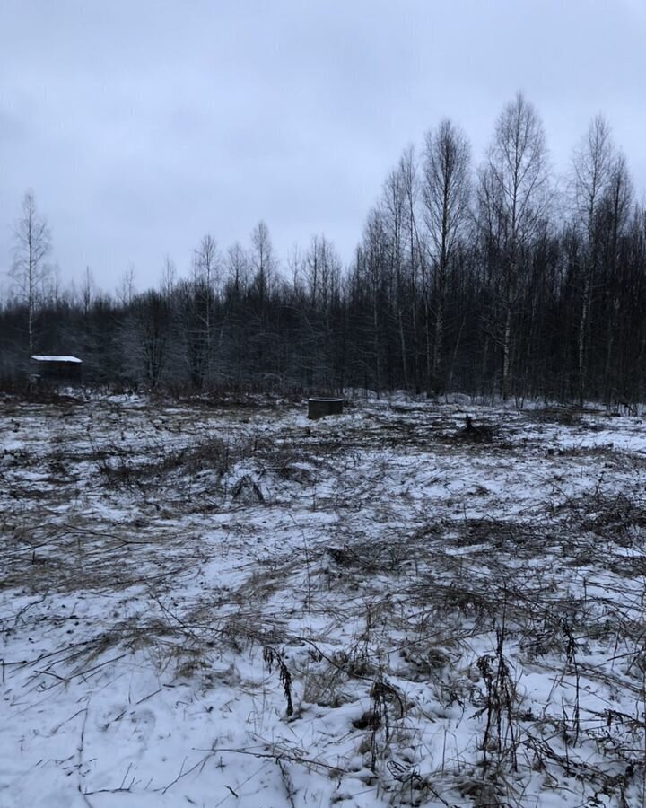 земля городской округ Шатура п Воймежный снт тер.Далия г. о. Шатура, Черусти фото 6