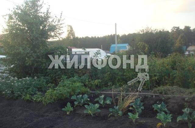 земля г Новосибирск территория садоводческого товарищества Ранняя заря фото 5
