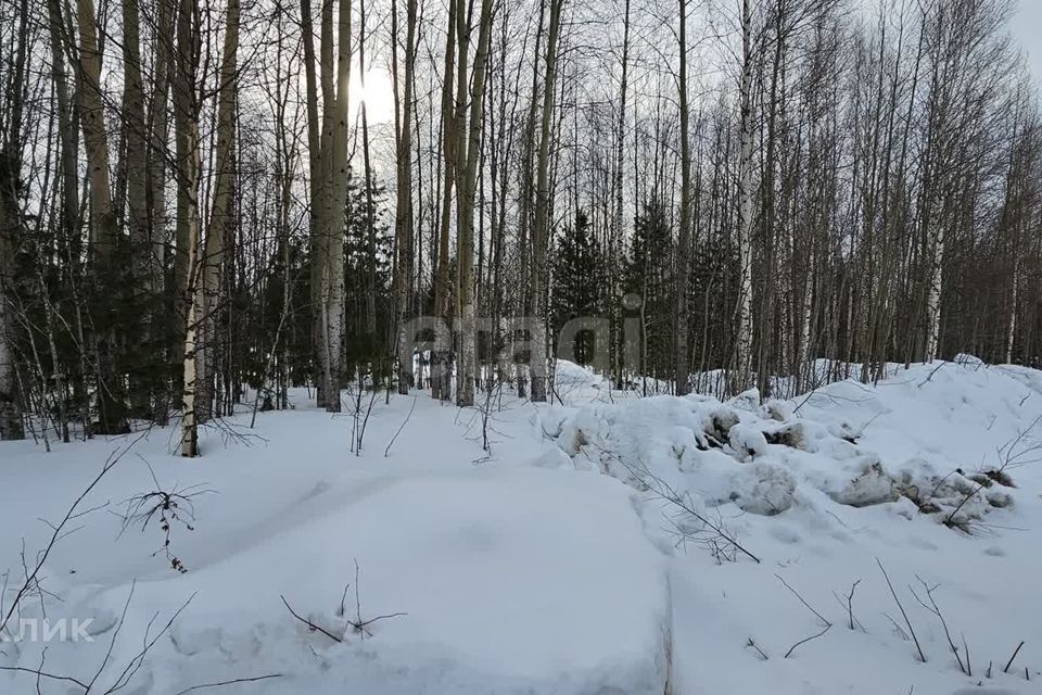 земля г Ханты-Мансийск садово-огородническое товарищество Ясная Поляна, городской округ Ханты-Мансийск фото 5