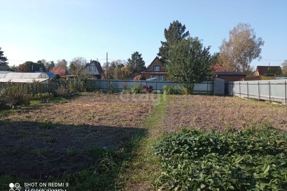 земля р-н Новосибирский п Михайловский садовое некоммерческое товарищество Кристалл фото 1