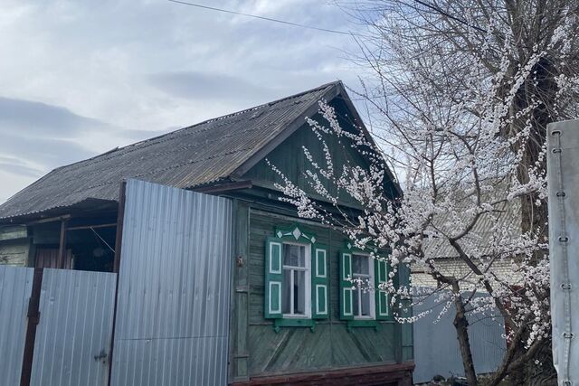 село Новокривовка фото