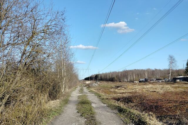 городской округ Череповец, садоводческое товарищество фото