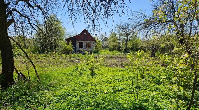 садоводческое товарищество, 238, Виктория фото