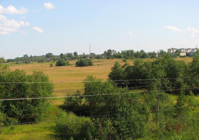 Батецкое сельское поселение, Ленинградская область, Луга фото