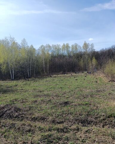 земля с Засечье ул Дачная Кирицкое сельское поселение, Спасск-Рязанский фото