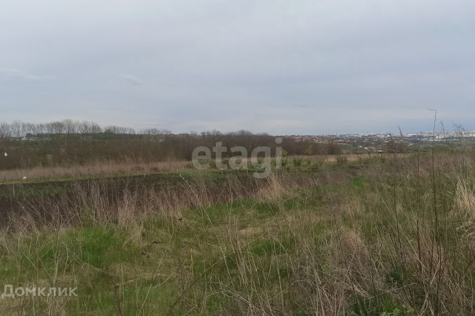 земля г Белгород городской округ Белгород, садоводческий массив Сухой Лог фото 4