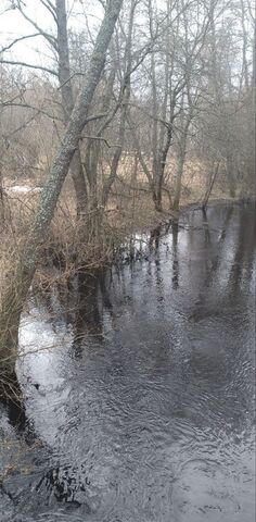 д. Воронино фото