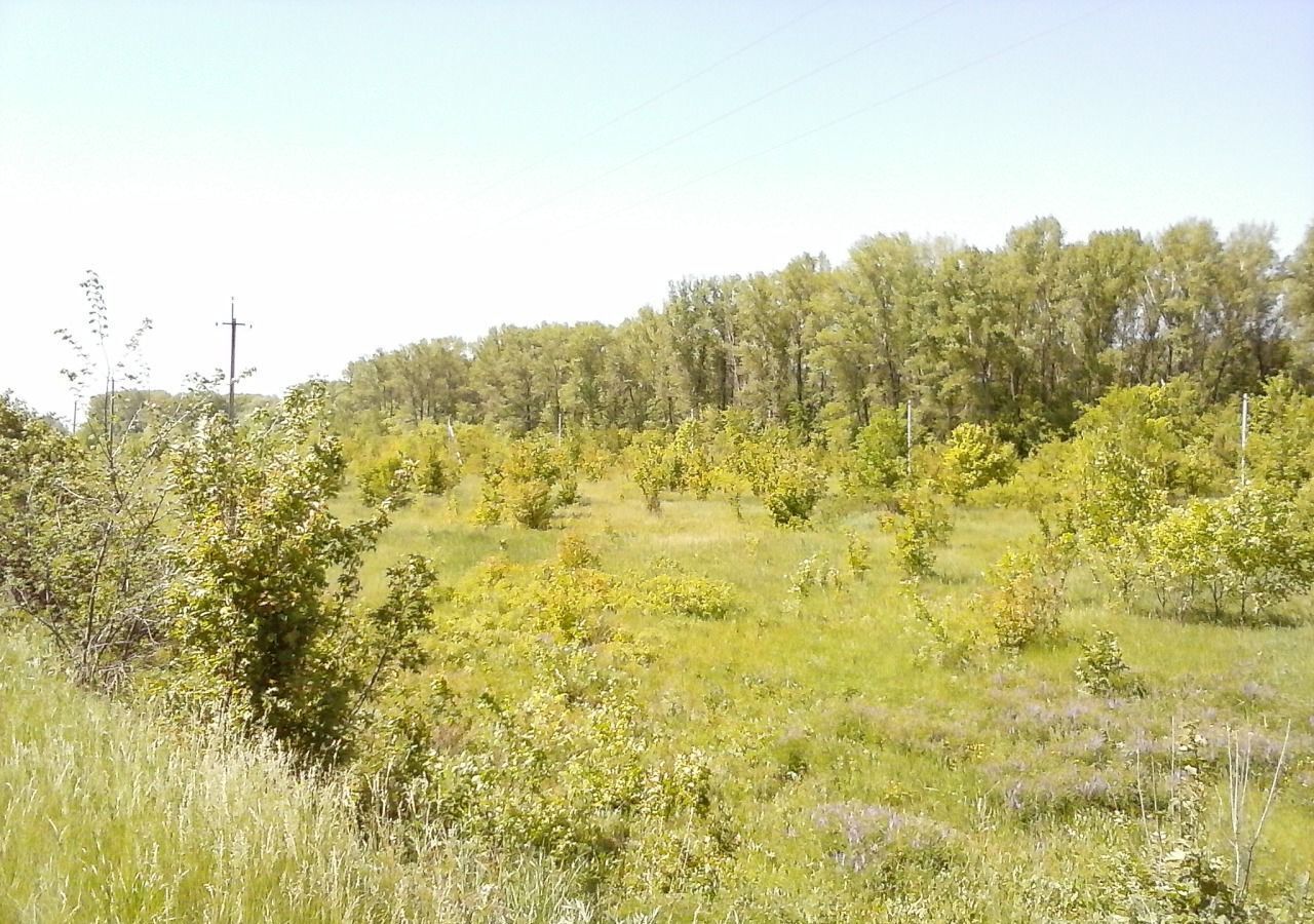 Купить Земельный Участок В Самарской Области