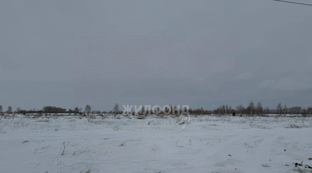земля р-н Новосибирский п Крупской Верх-Тулинский сельсовет фото 1