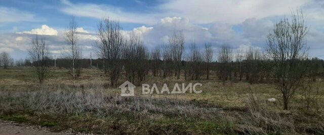 снт тер.Новое Заостровье Гостилицкое с/пос фото