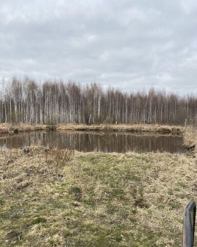 земля Среднеуральск фото