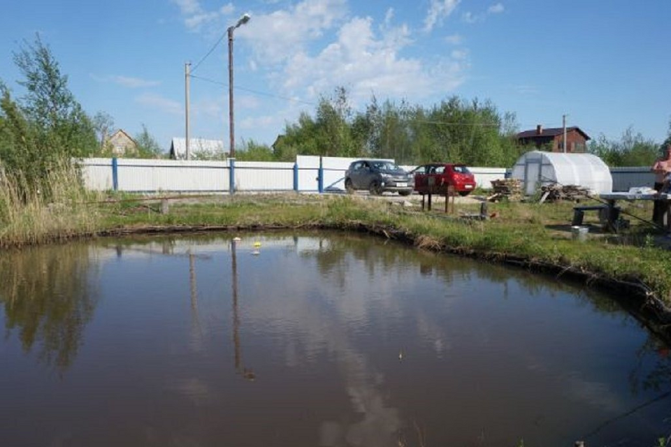 земля г Сургут городской округ Сургут, садовое товарищество Черёмушки фото 2