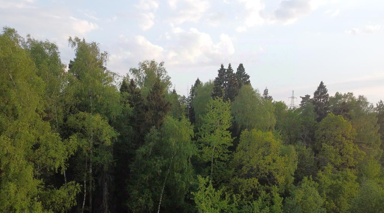 земля г Щёлково кв-л Лесной фото 2