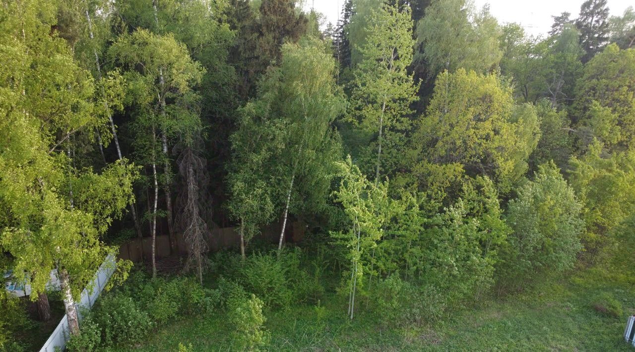 земля г Щёлково кв-л Лесной фото 3