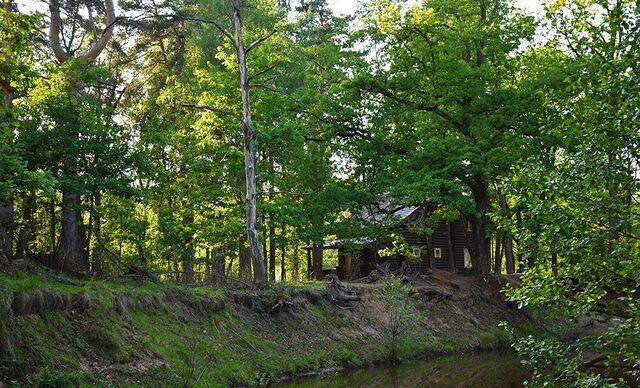 р-н Петушинский п Городищи М-7 Волга, 95-й километр фото