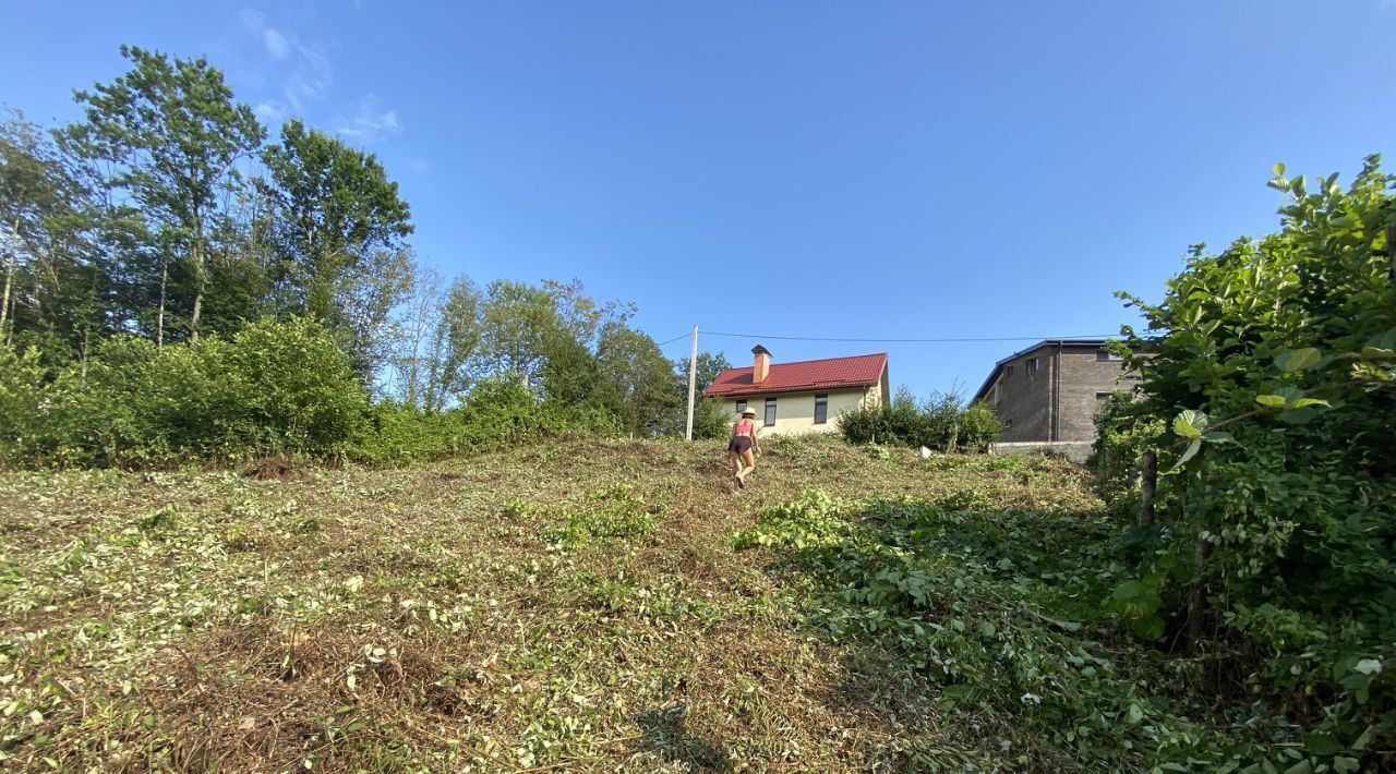земля г Сочи с Краевско-Армянское 98, Заречное садовое товарищество фото 1