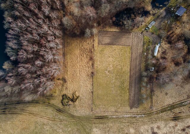 Светлогорск, Зеленоградский муниципальный округ фото