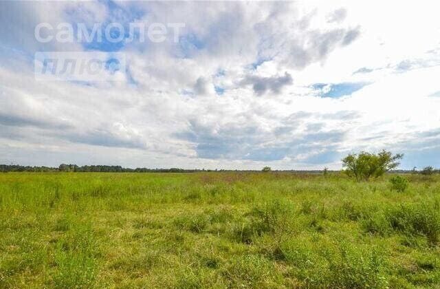 земля р-н Боровский г Балабаново Балабаново-1 ул Осенняя фото 3