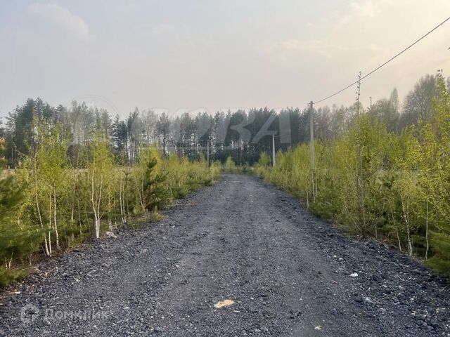 пр-д Гимнастический фото