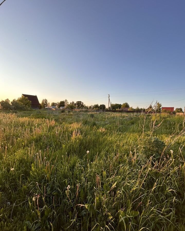 земля р-н Новгородский д Божонка Савинское сельское поселение, Пролетарий фото 7