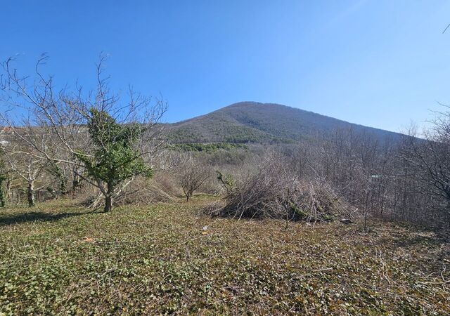 муниципальное образование Новороссийск фото