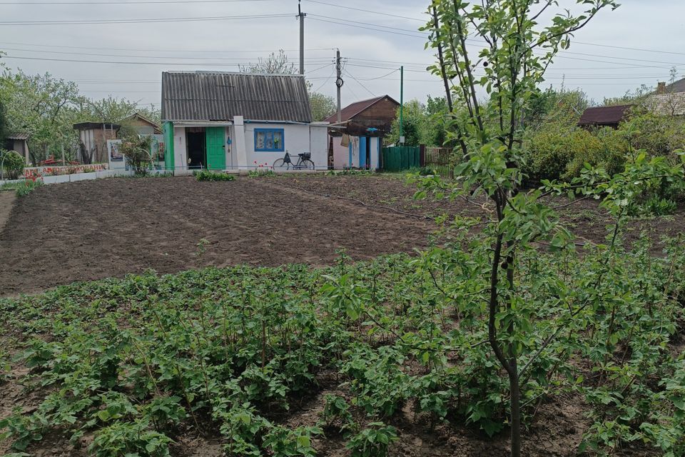 земля р-н Азовский Новоалександровское сельское поселение фото 1