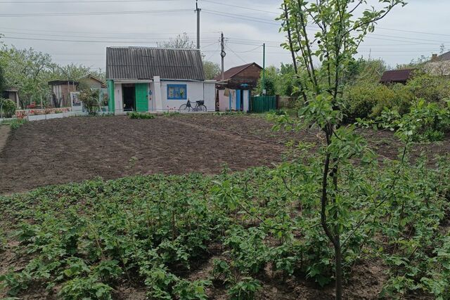 Новоалександровское сельское поселение фото
