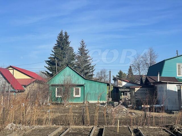 ул Мусоргского городской округ Тюмень фото