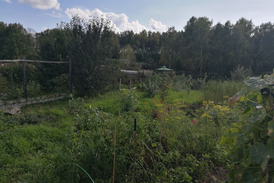 земля р-н Юргинский садово-огородное некоммерческое товарищество Машиностроитель-5 фото 7