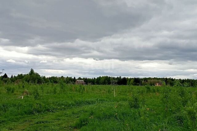 городской округ Сыктывкар, местечко Радиобиология фото