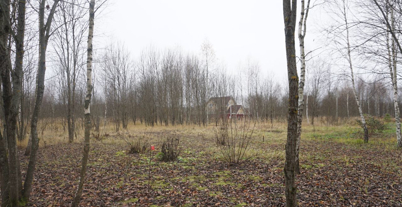 земля городской округ Можайский д Авдотьино днп терИскона Можайск фото 2