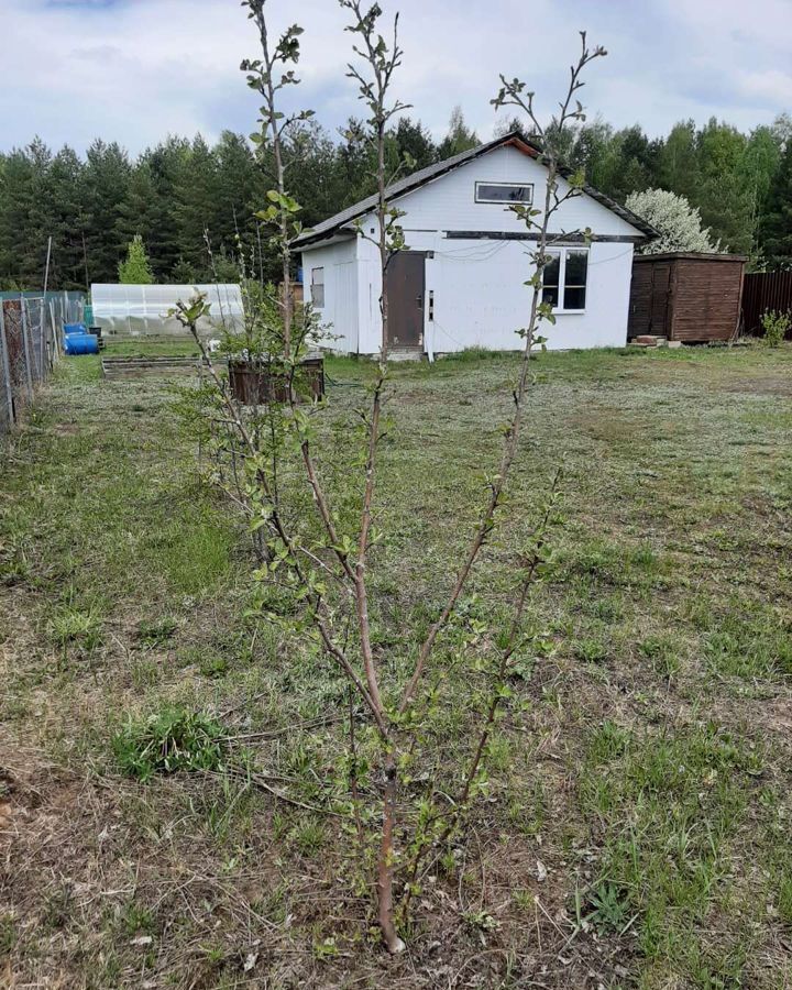 земля городской округ Шатура д Сидоровская Шатура фото 19