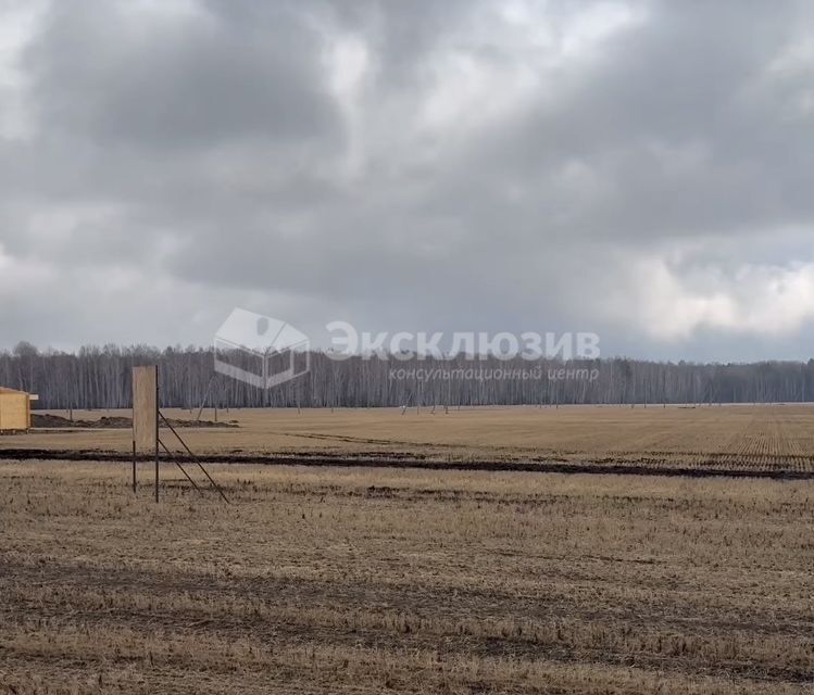 земля р-н Тюменский с Кулига микрорайон Кулига-2 фото 3