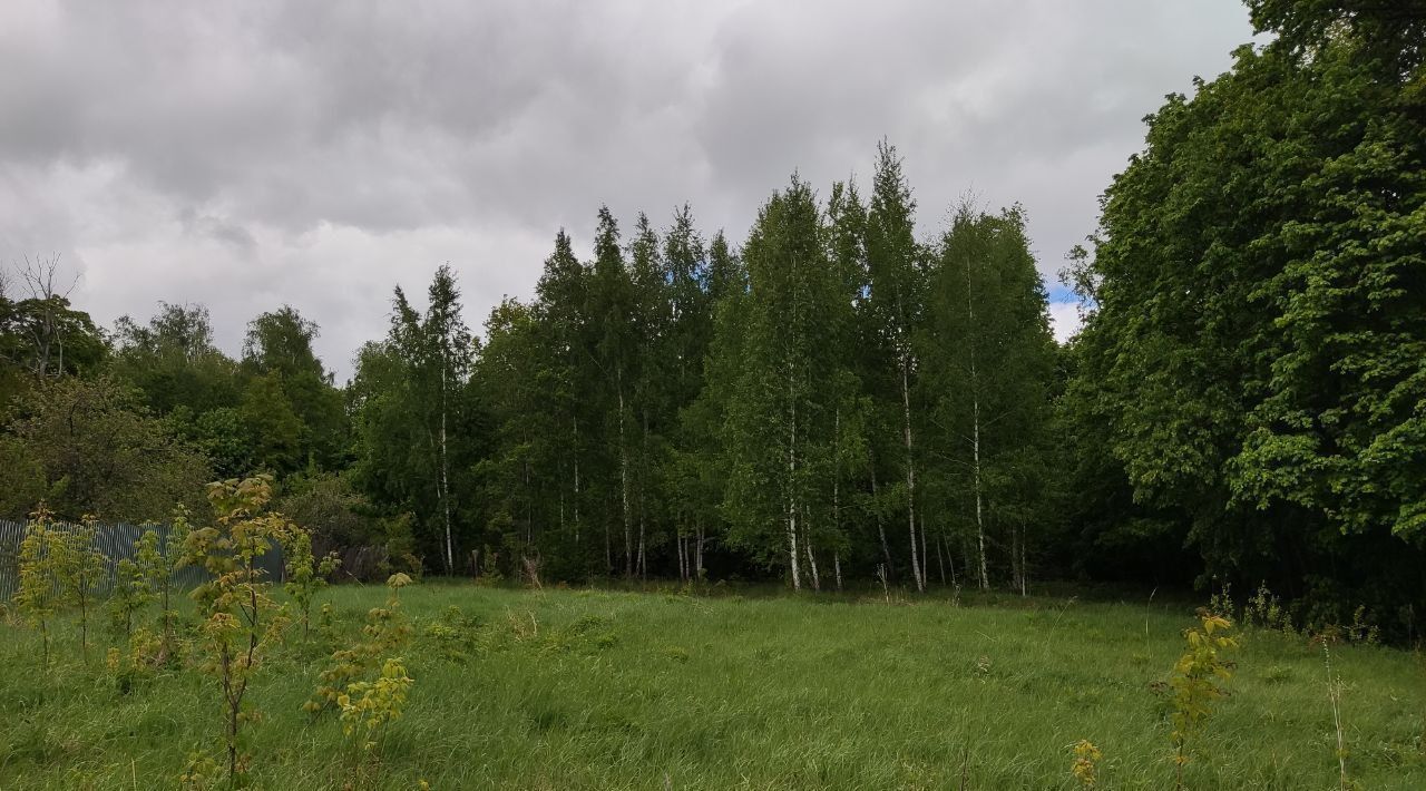 земля г Пенза р-н Первомайский снт терЗасека 295д фото 20